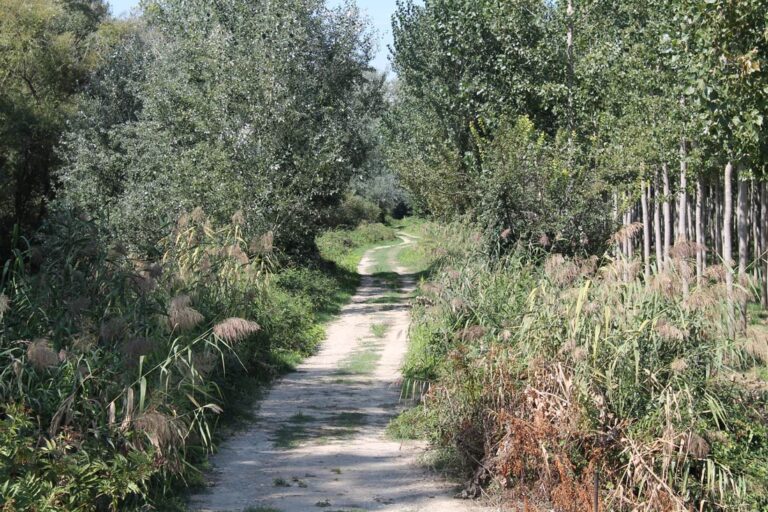 Pradilla de Ebro