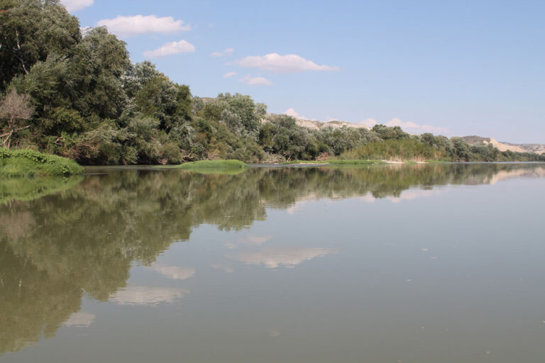 Pradilla de Ebro