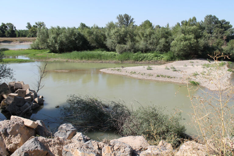 Pradilla de Ebro