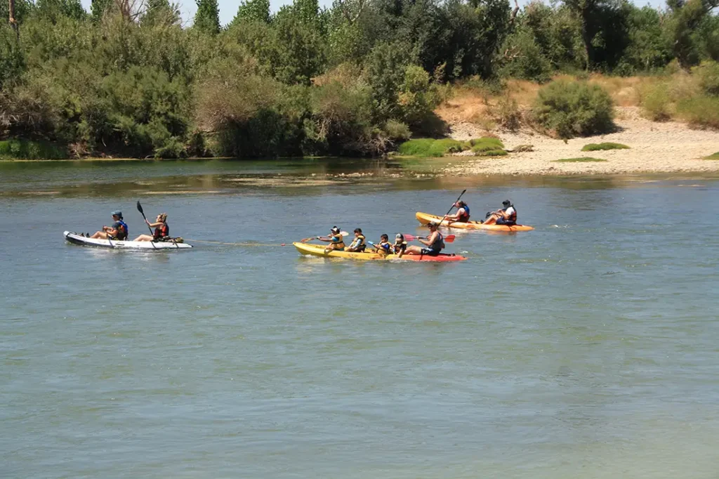 XIX Piraguada Popular del Ebro Aragonés
