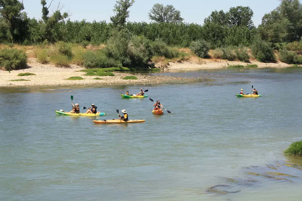 XIX Piraguada Popular del Ebro Aragonés